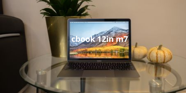 cbook 12in m7