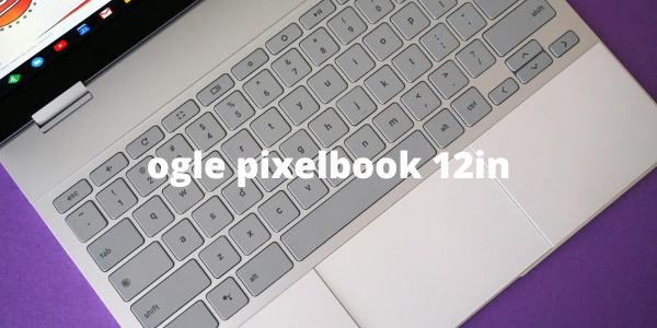 ogle pixelbook 12in